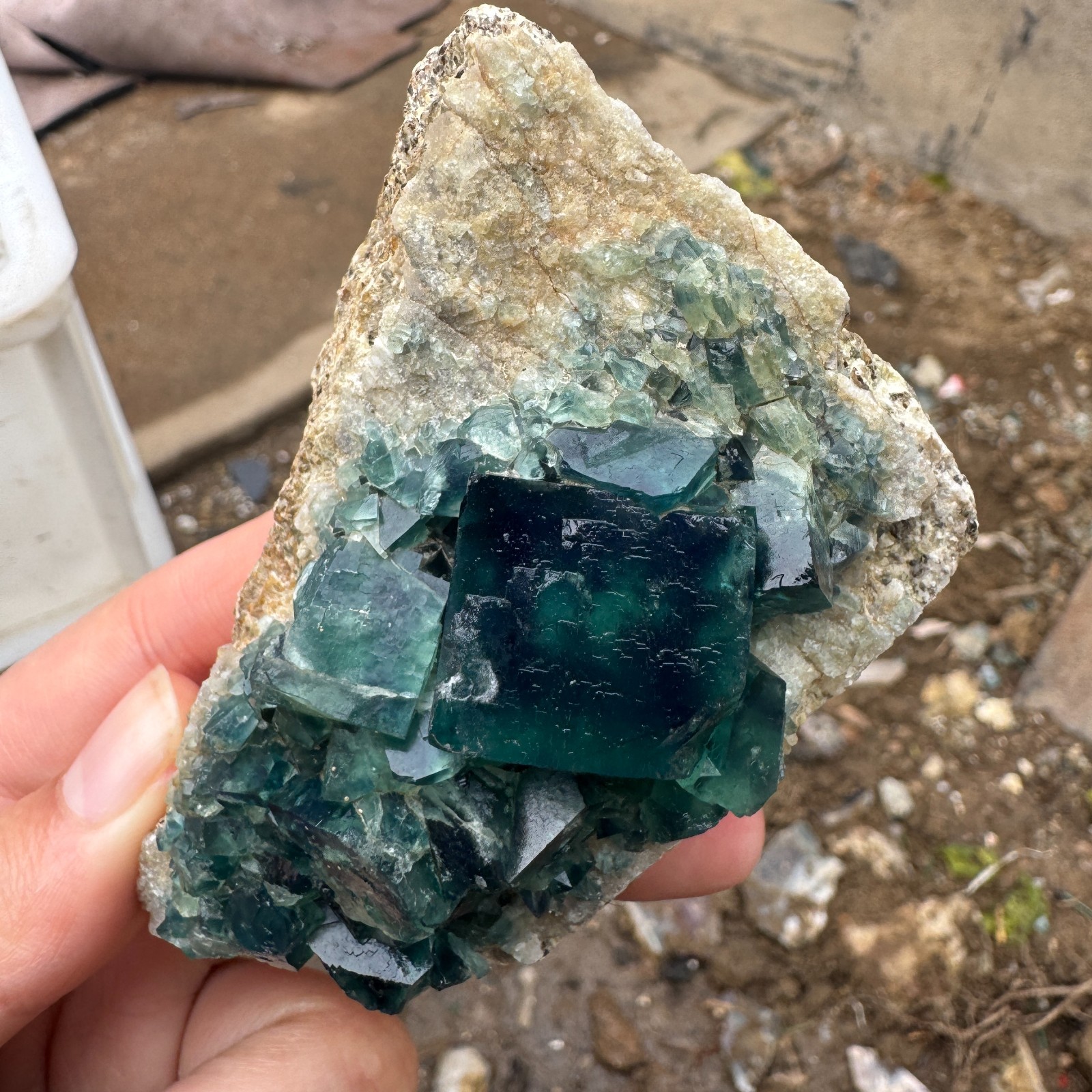 200G Natural cubic green fluorite crystal cluster rough mineral specimen Healing