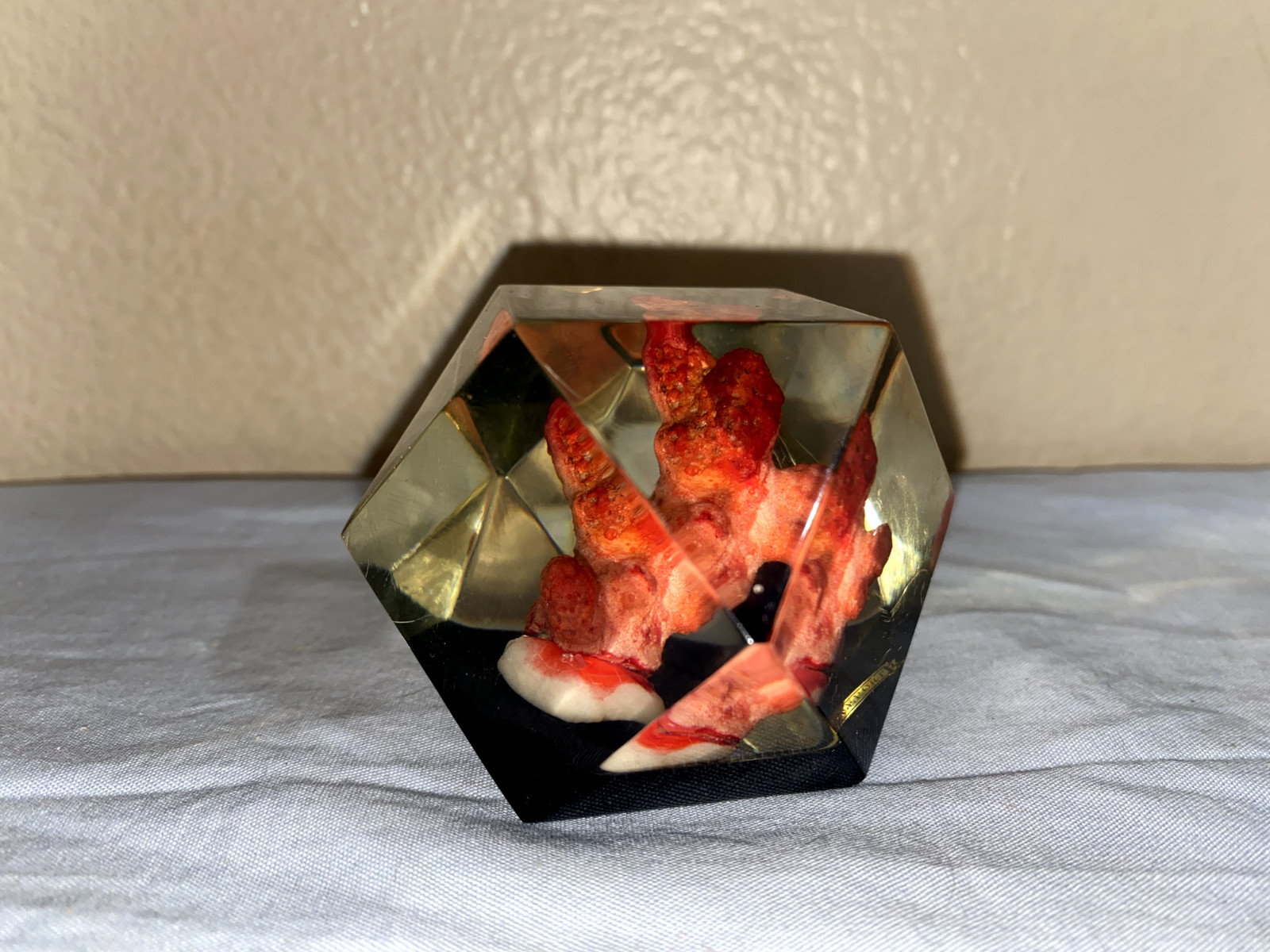 Vtg Lucite Resin 3D Hexagon Red Coral Art Paperweight Freeport (ToteGGG)
