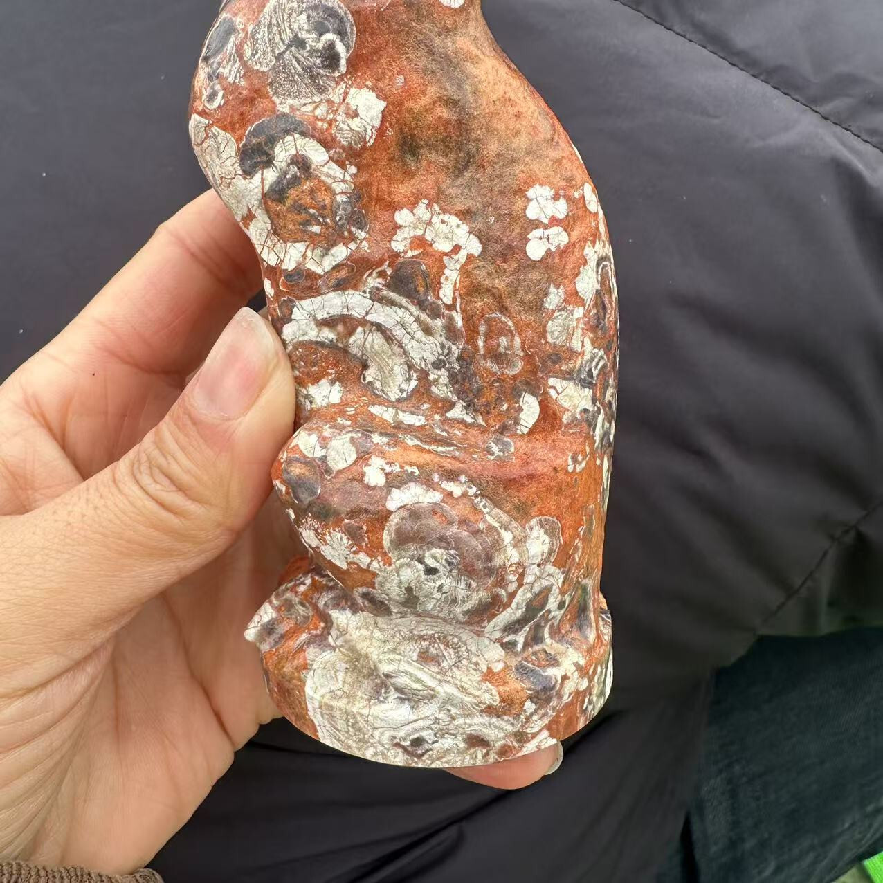 1pc Natural Money agate Quartz Carved Leopard Skull Crystal Reiki Healing Decor