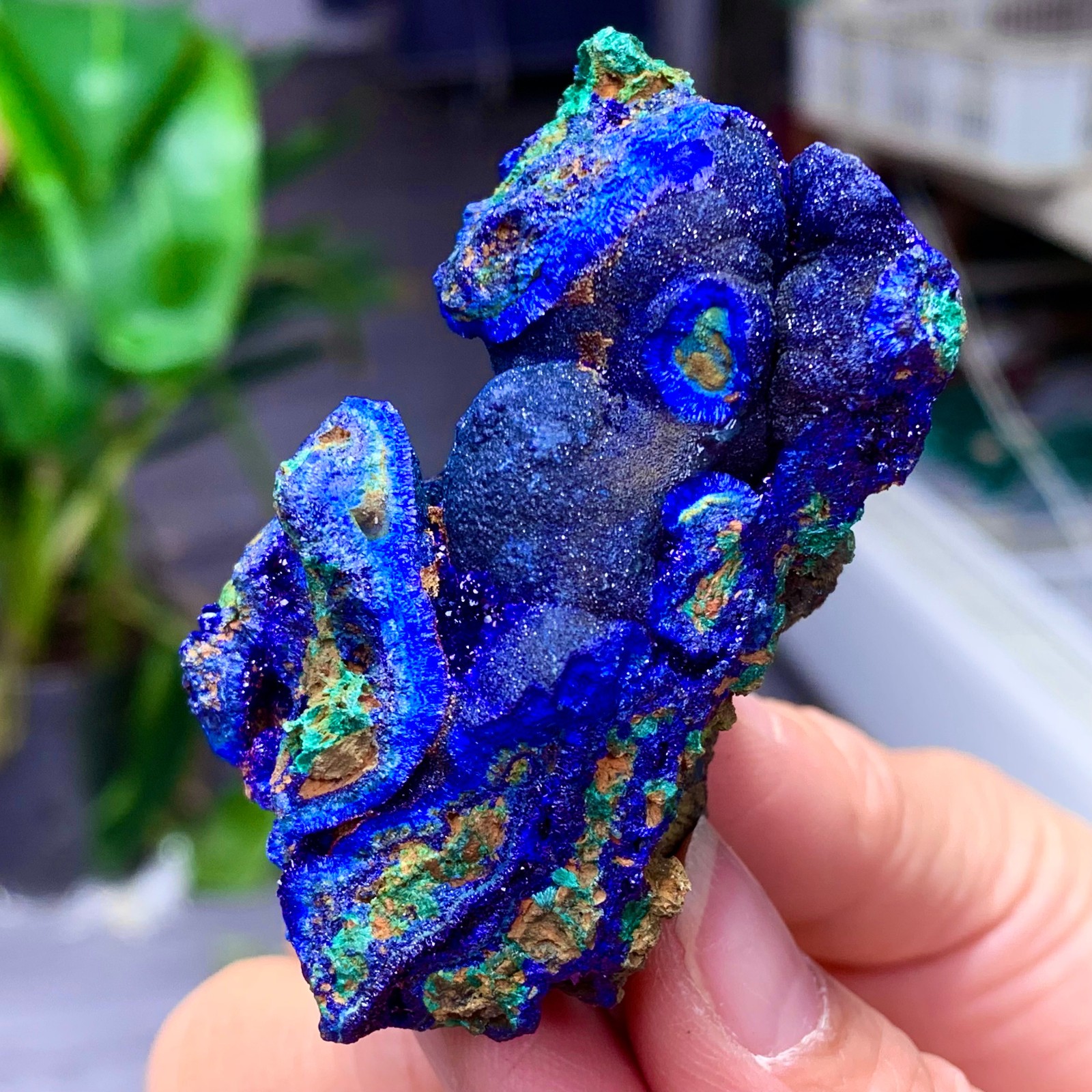102G BEST Natural Azurite/Malachite crystal minerals specimens