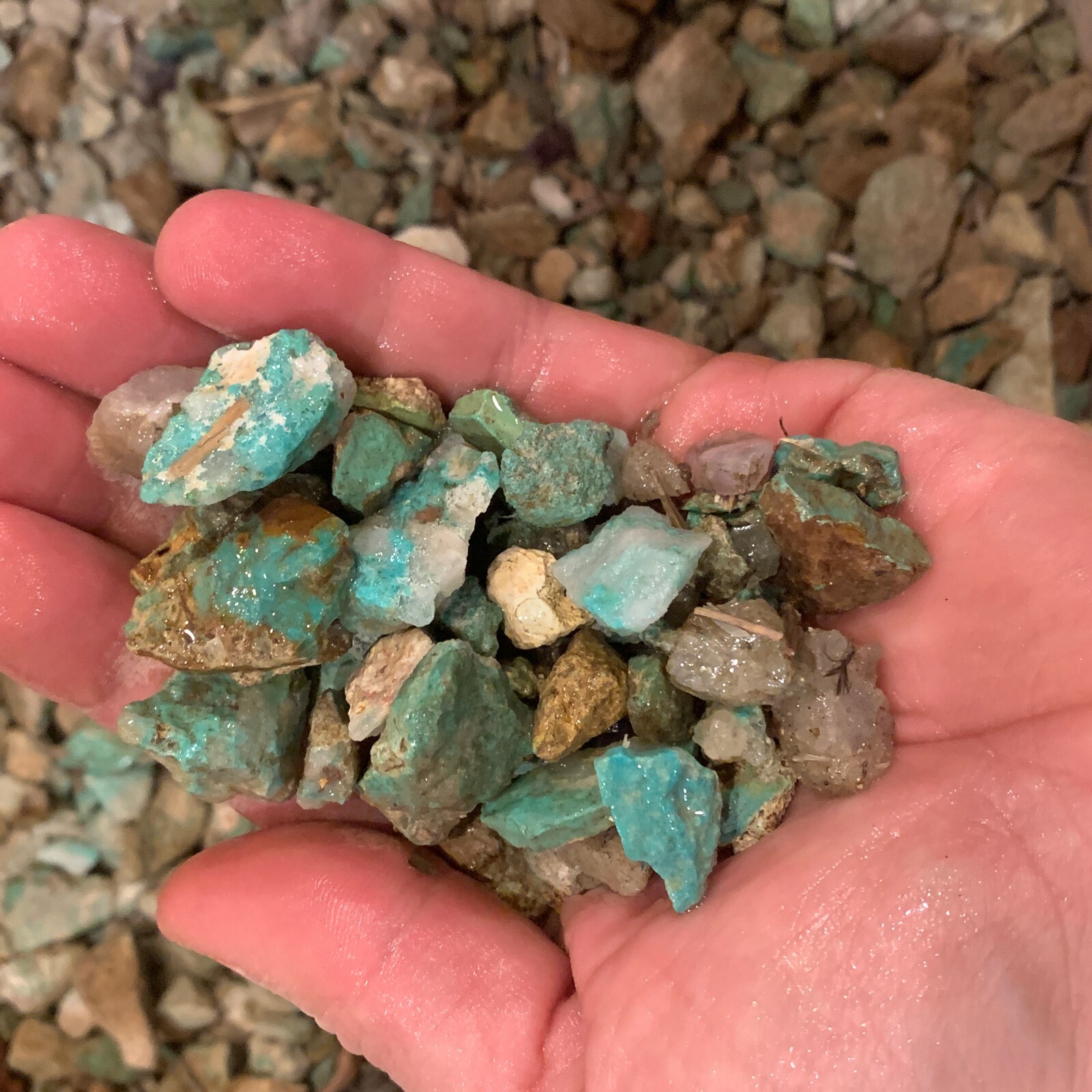 1000 Carat Lots of SMALL Natural Turquoise Rough + a Free Faceted Gemstone