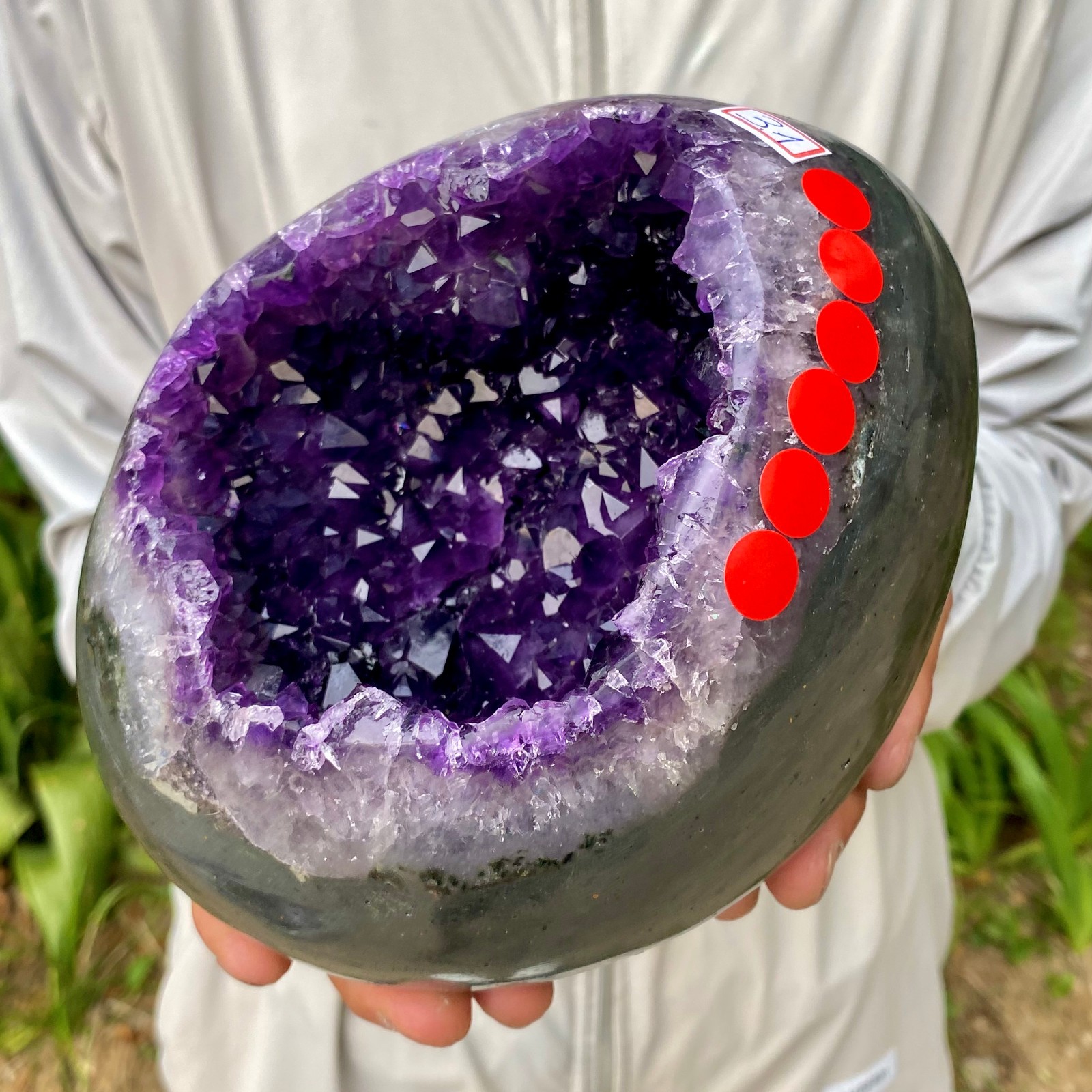 6.81LB High quality Natural Amethyst geode quartz crystal Dinosaur egg healing