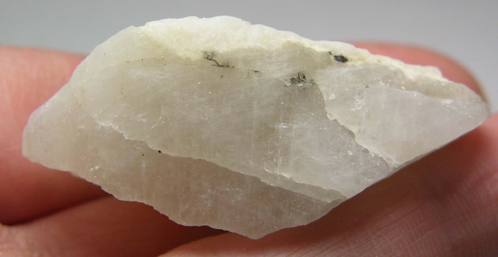 #20 Sri-Lanka 140.80ct 100% Natural Rough White MoonStone Specimen 28.15g 46mm
