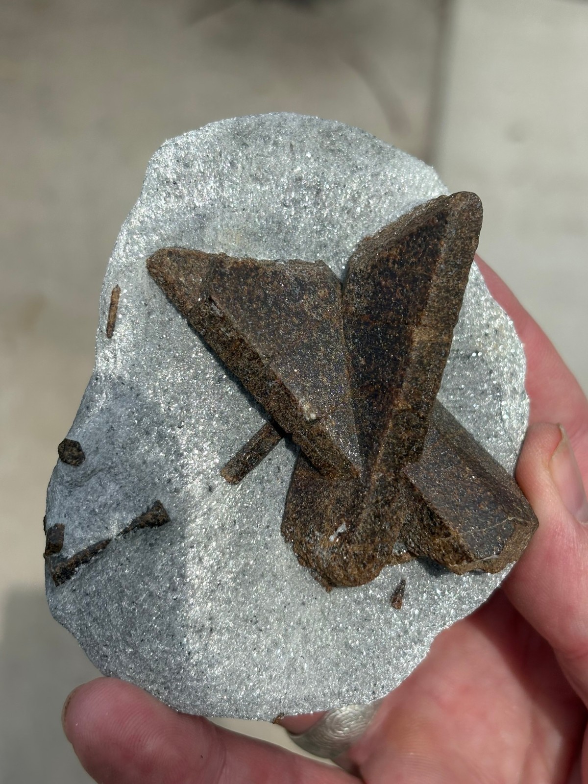 Staurolite, “fairy cross”, Keivy Mountains, Kola Peninsula, Russia