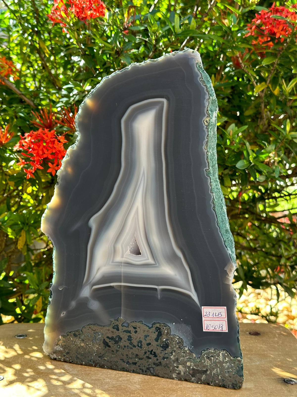 X-Large Polished Agate Geode, Agate Slice w. Cut Base or Self Standing,Pick Size