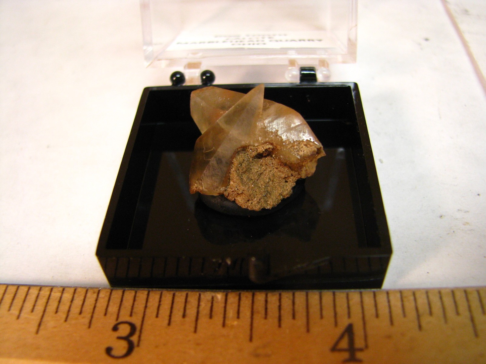 GOLDEN DOGTOOTH CALCITE CRYSTALS THUMBNAIL IN CASE MARBLEHEAD QUARRY OHIO #037