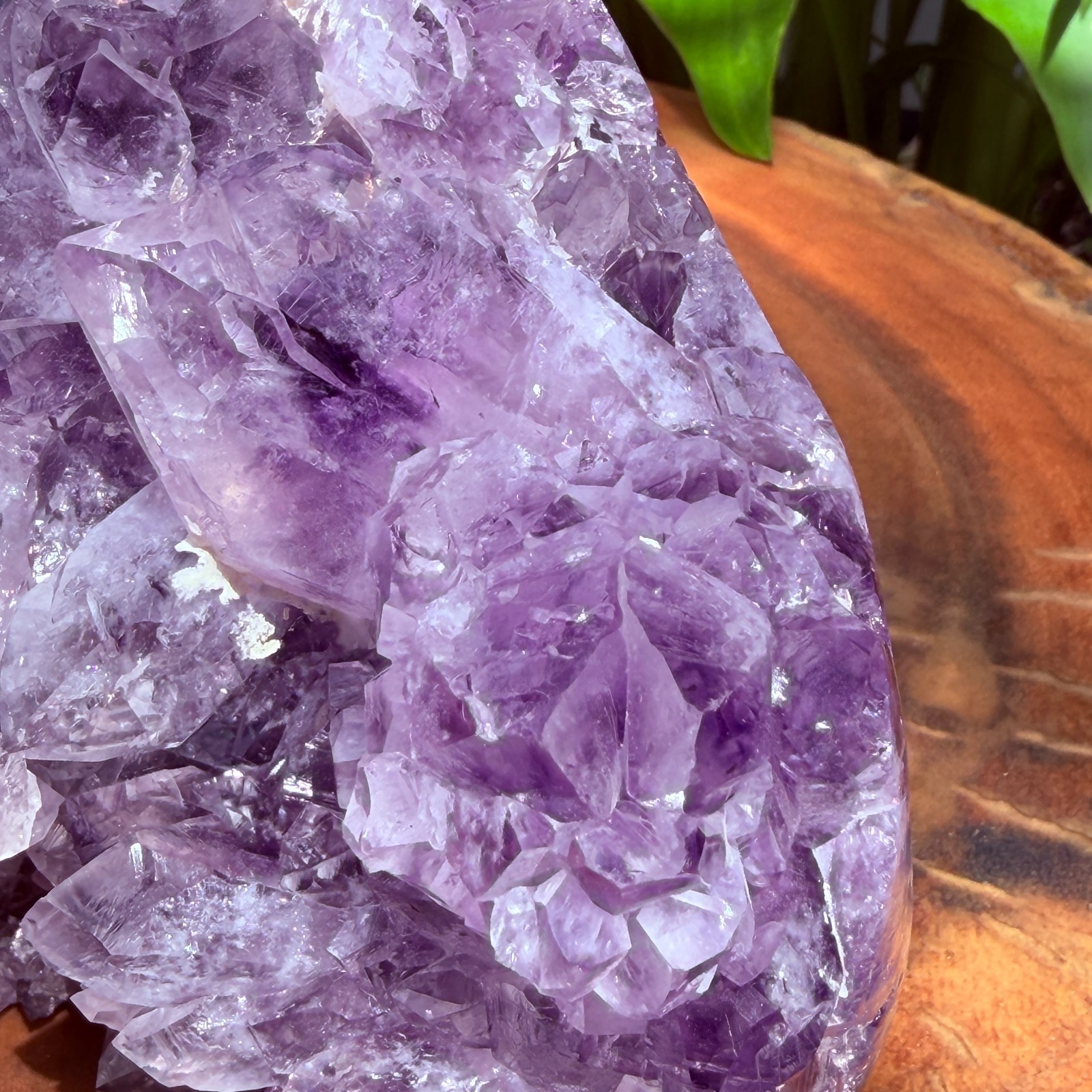 Massive Museum Grade Amethyst Geode Specimen 3.49kg Serra do Sol Brazil