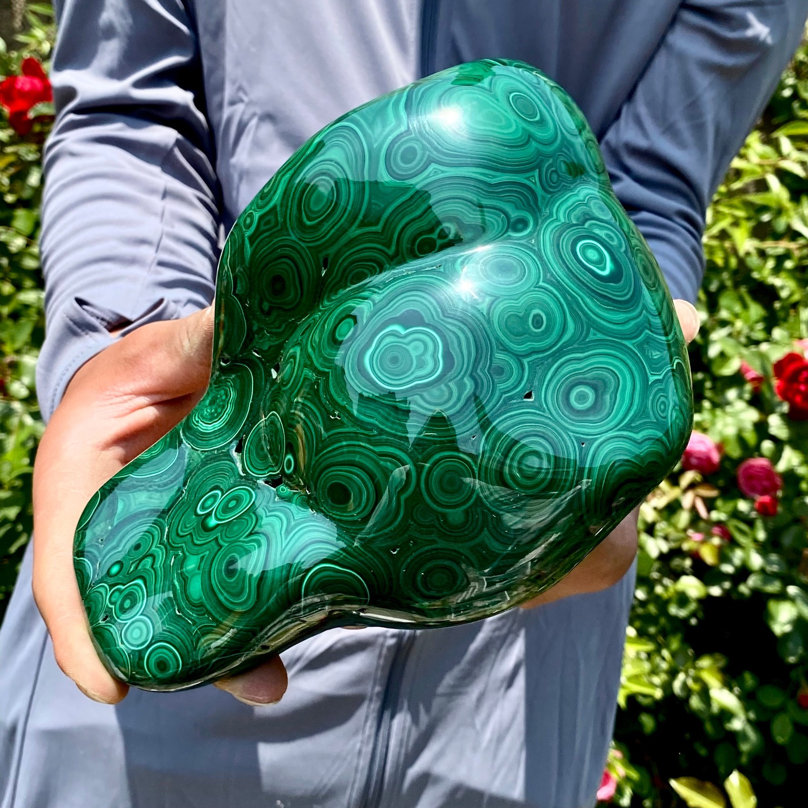8.5LB Natural glossy Malachite egg transparent cluster rough mineral sample