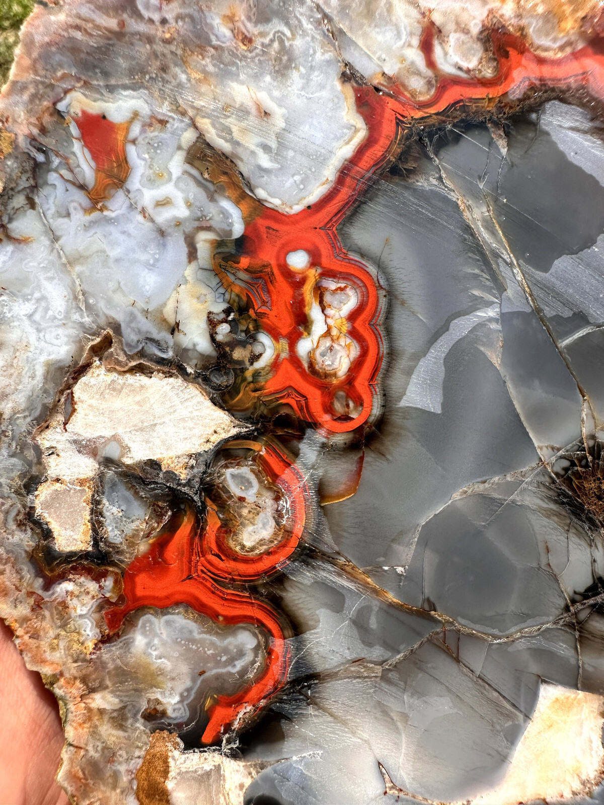 6 1/2 INCHES__Beautiful Imperial Kentucky Agate Slab from Estill County