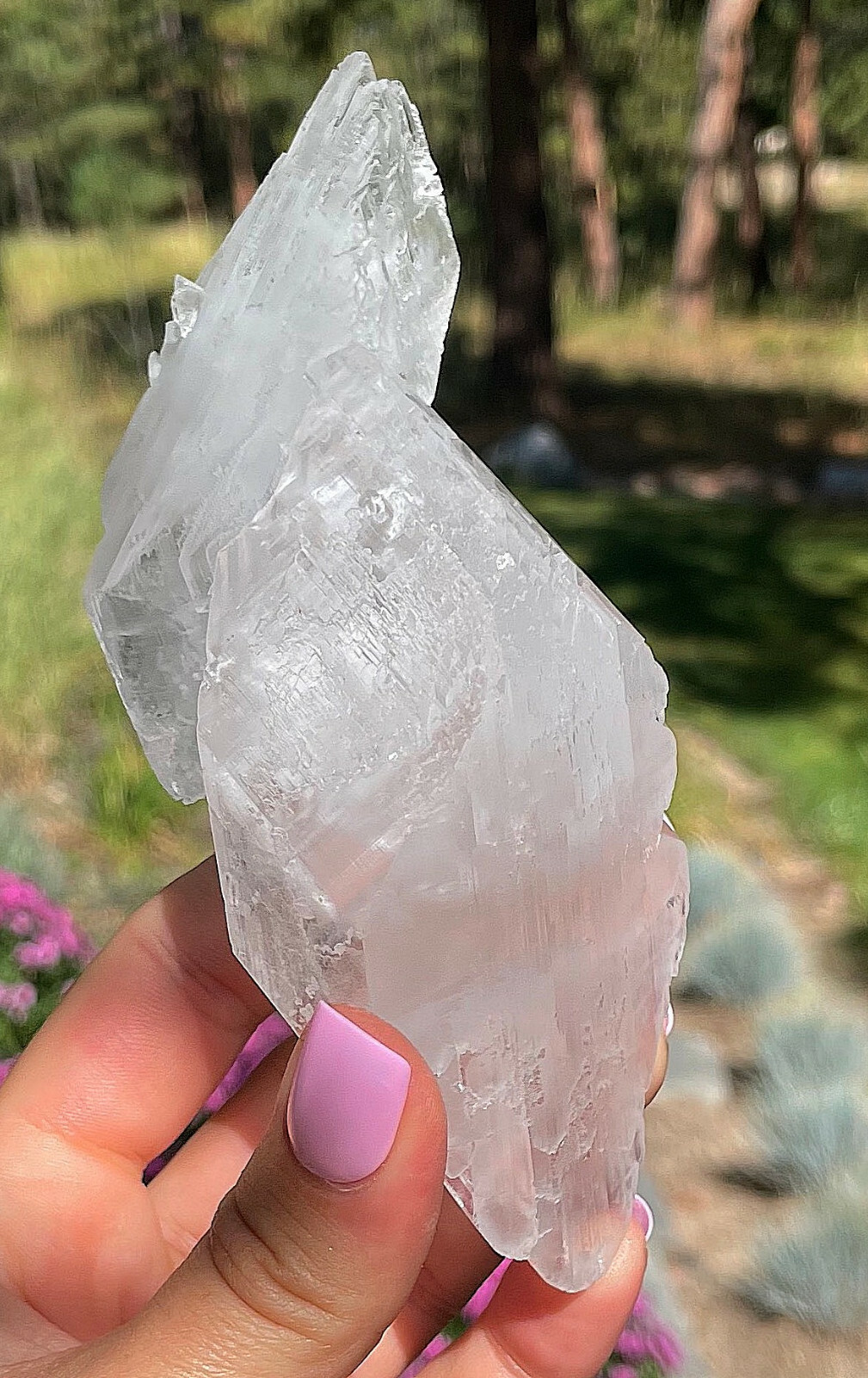 Beautiful Crystallized Gypsum Selenite Super Crystals Old Time Piece 12.5 Cm’s