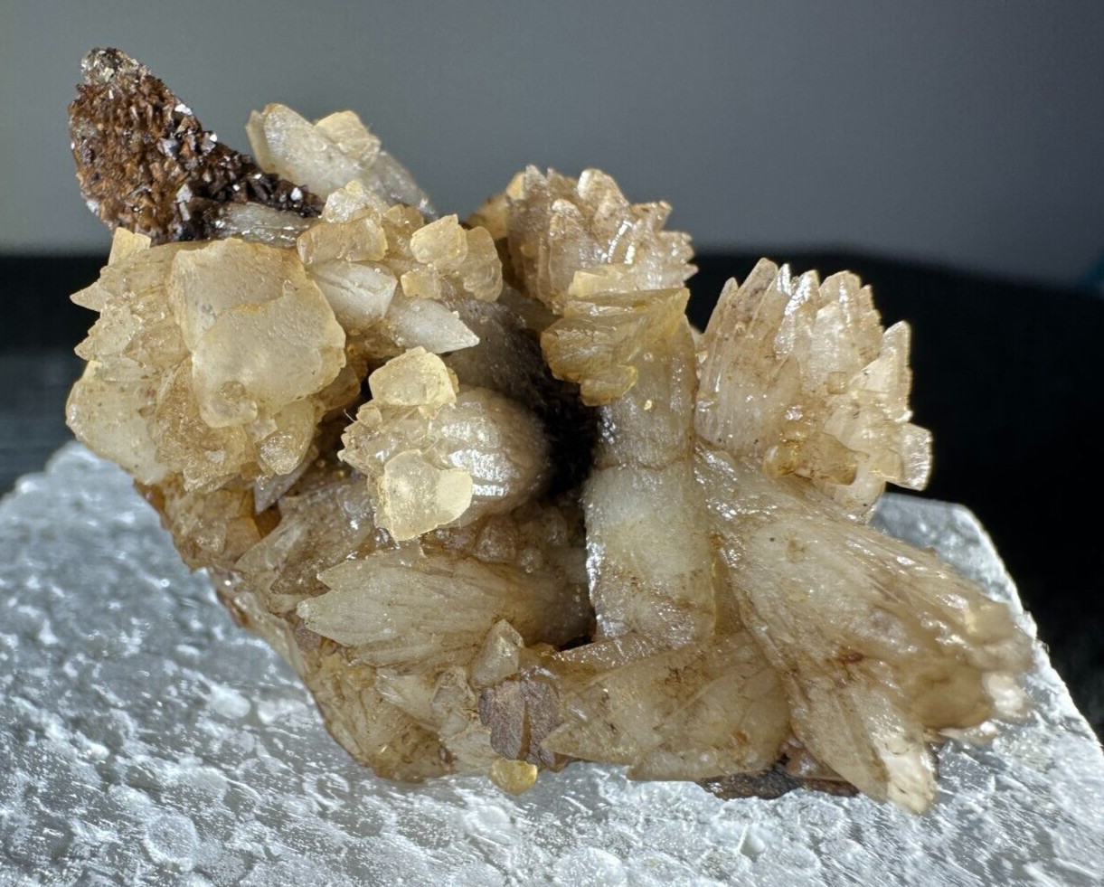 ➤ 1-7/8″ DOGTOOTH CALCITE CLUSTERS Pleasant Ridge Rensselaer Indiana VIDEO➤438