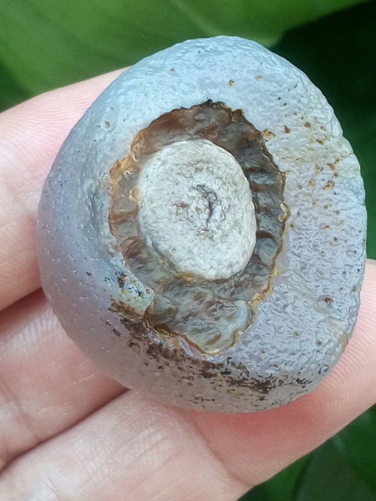 36mm Beautiful Natural Gobi agate eye agate stone collection