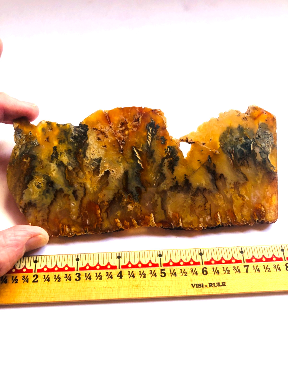 Graveyard Plume Agate Museum Grade Collectors Slab Oregon 202 Grams