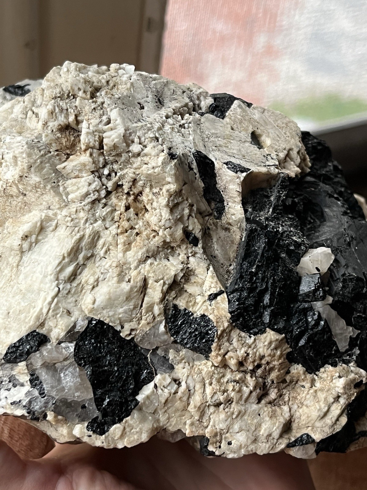 HUGE 6lb 9” Black Tourmaline Schorl Crystals In Matrix Maine USA Locality Quartz