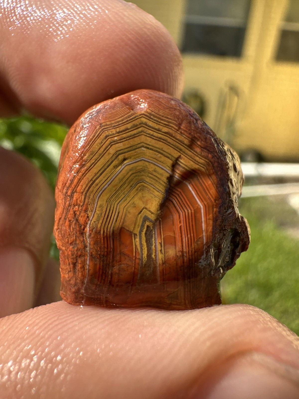 1.75 oz Lake Superior Agate Lapidary Lot 5 Multicolor Beauty’s