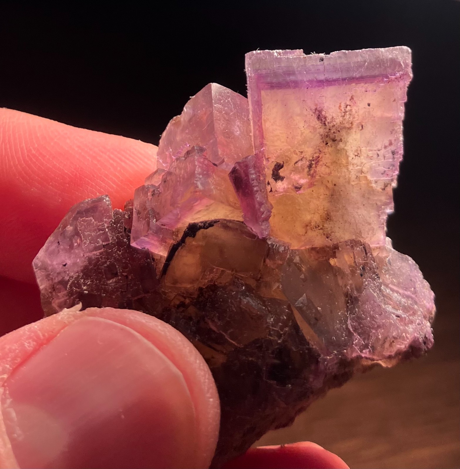 Illinios Fluorite 4 Piece Lot- Cave in Rock, Minerva#1, Annabel Lee
