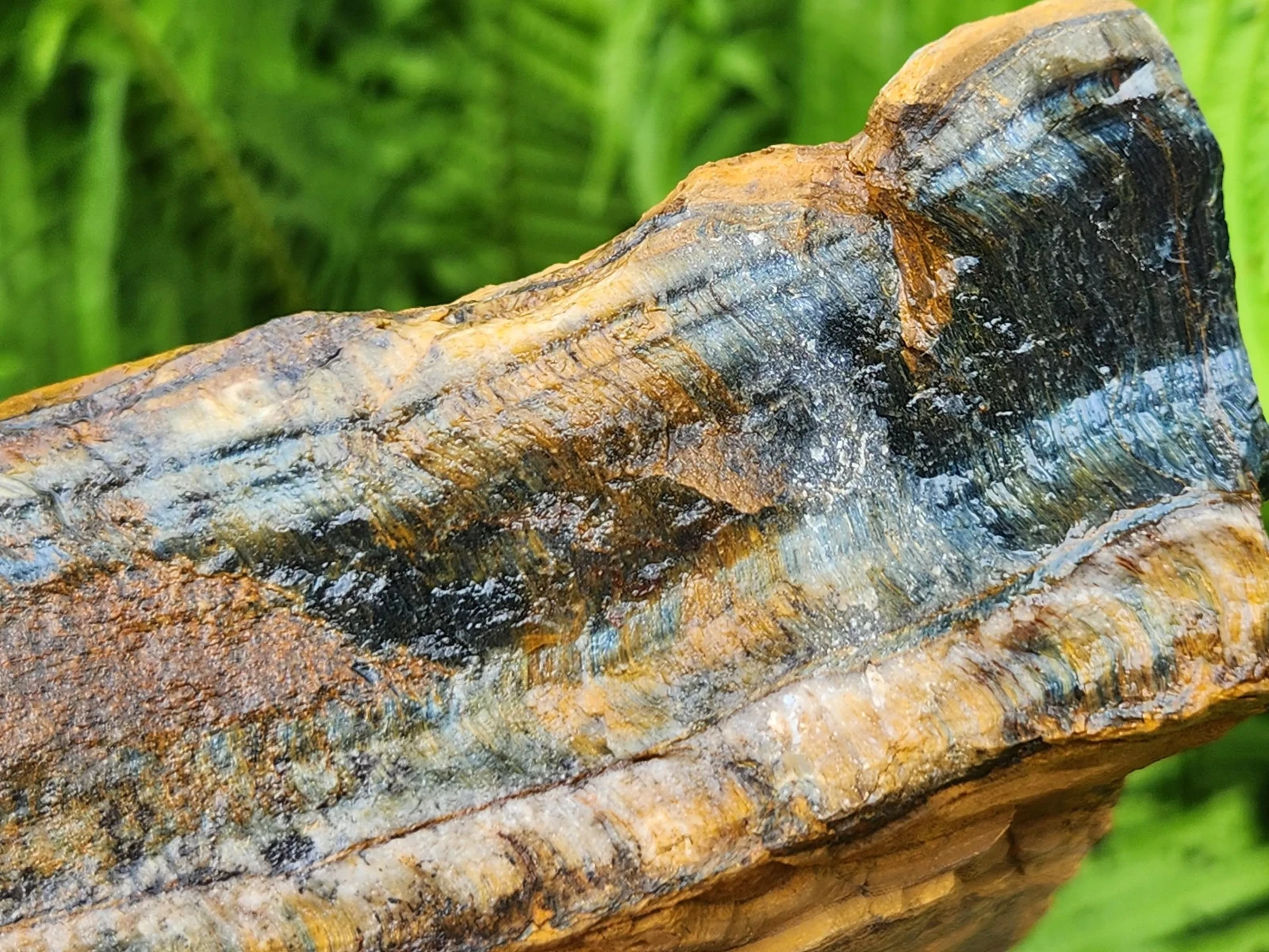 5 lb 11 oz Rough Blue Tiger’s Eye Stone. Ideal for Lapidary. Luminescent