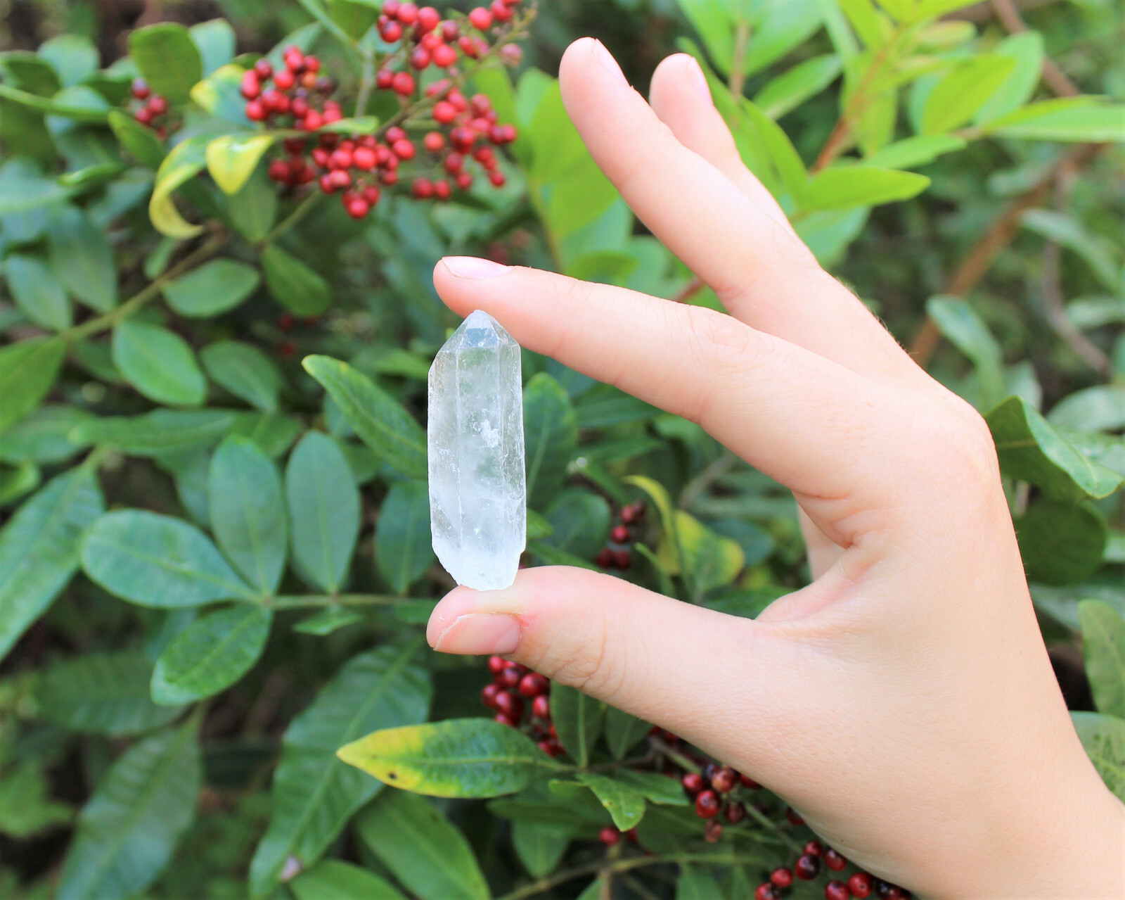 500 Carat Lot Natural Clear Quartz Crystal Points Wand US Seller (100 Gram)