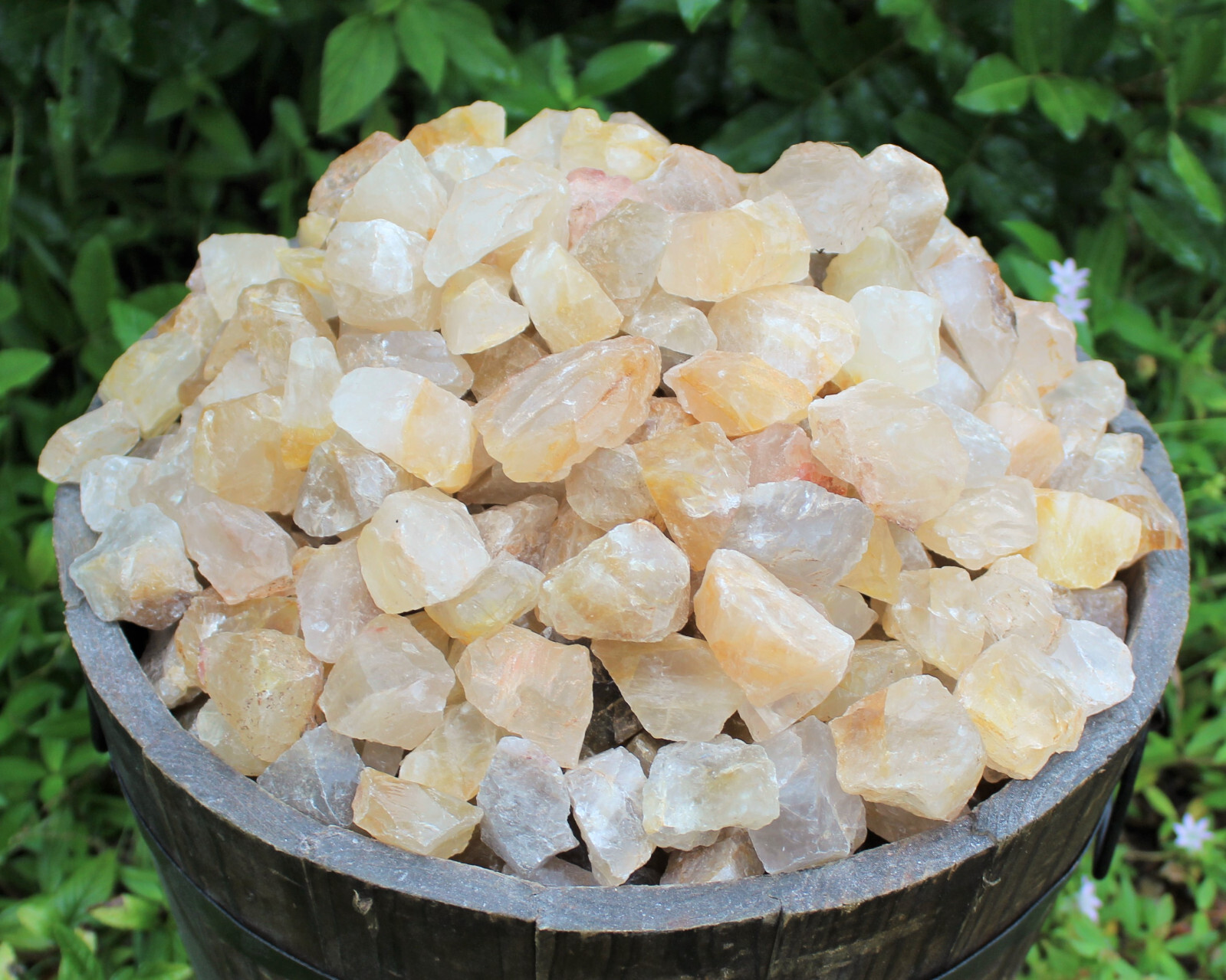 Golden Healer Quartz Rough Natural Crystals Wholesale Lots (Raw Golden Quartz)