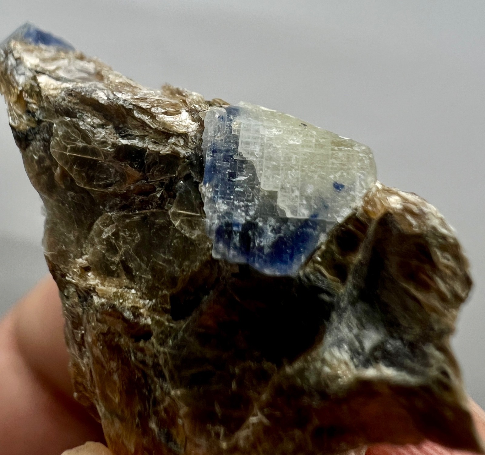 58ct.Natural Blue Sapphire Crystal Cluster on Mica Matrix – Afghanistan Specimen