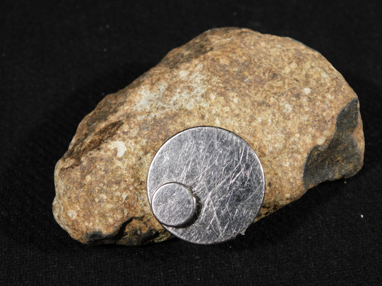 Larger Classified NWA 8245 METEORITE 100% Natural! Erfoud, Morocco 207gr
