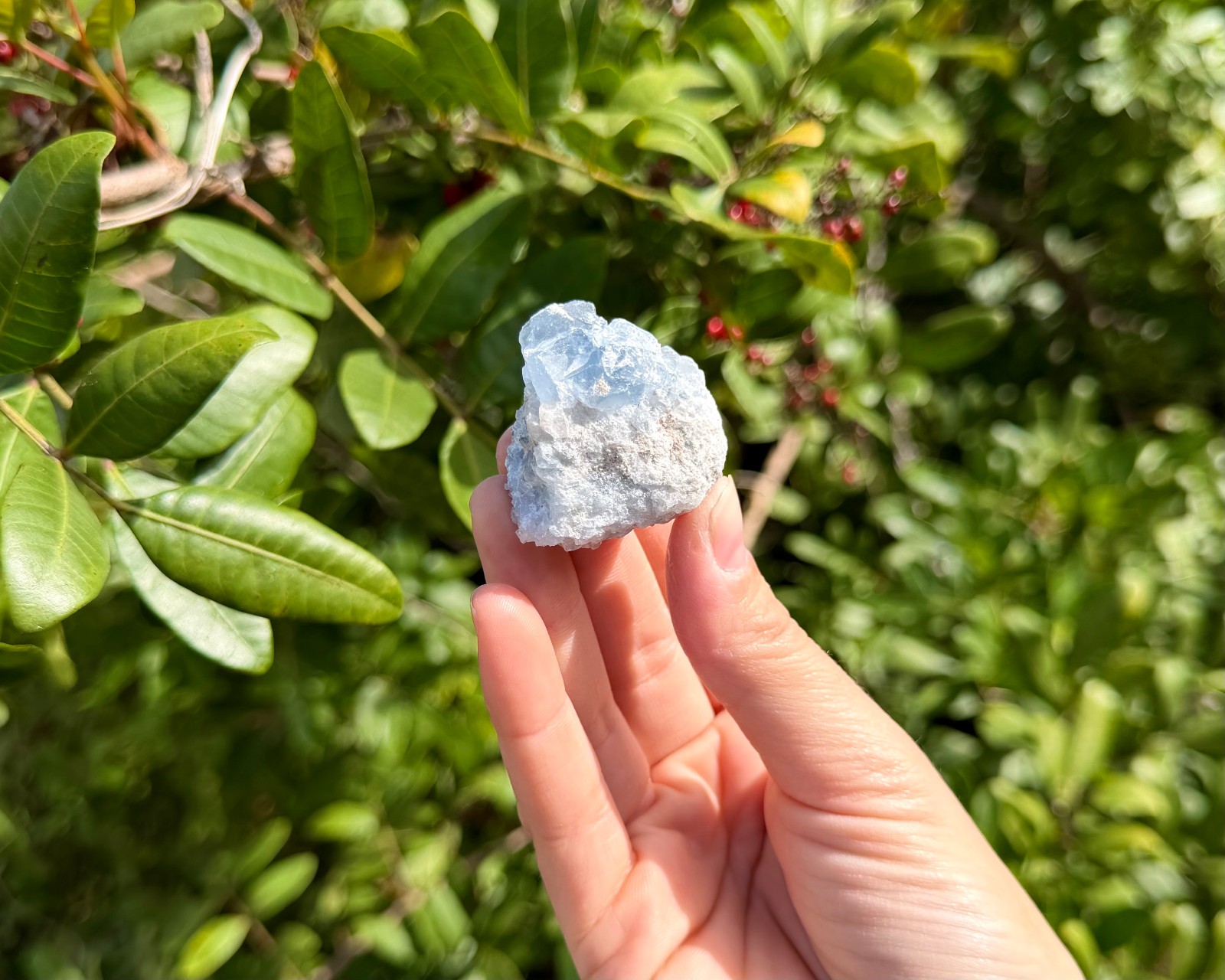 Natural Small Celestite Clusters CLEARANCE Bulk Wholesale Lots (‘B’ Grade)