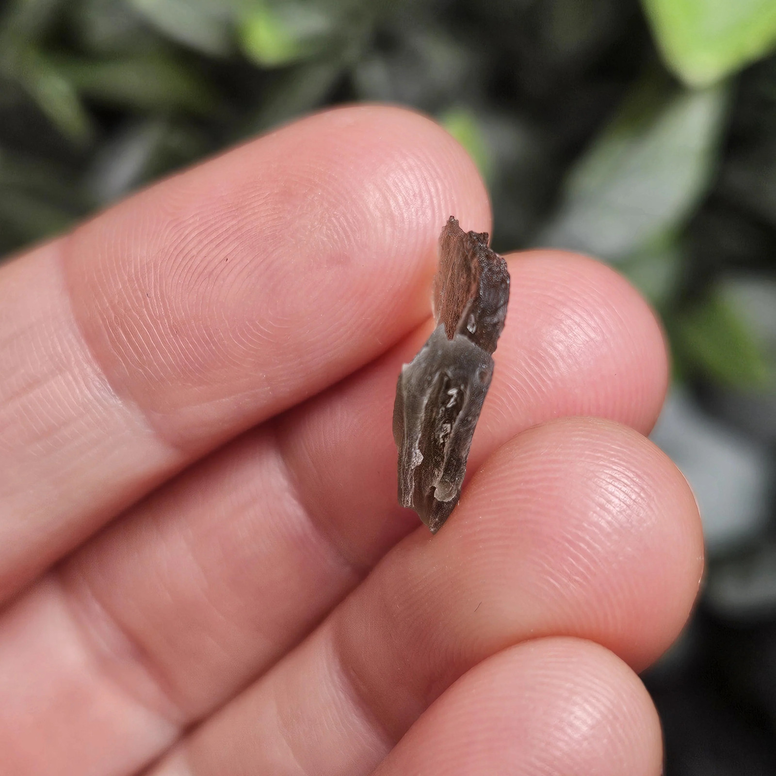 Angel Chime Moldavite (.53g) Moldavite