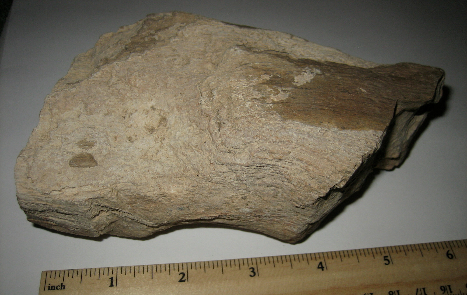 5.5″ NATURAL ROUGH COLORADO RIVER PETRIFIED IRON WOOD FOSSIL STONE 942grams *20