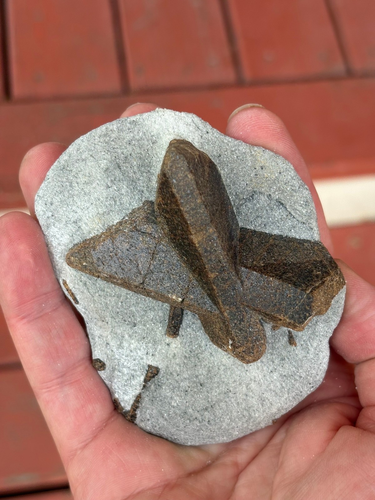 Staurolite, “fairy cross”, Keivy Mountains, Kola Peninsula, Russia
