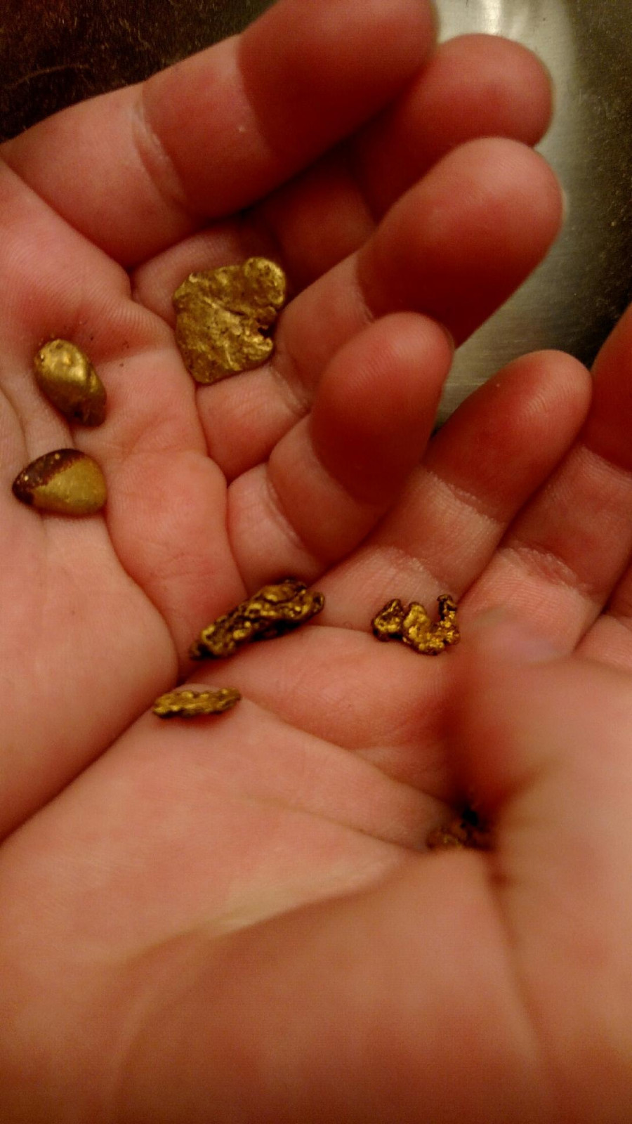 2 1/2 LB NUGGET RESERVE Gold Panning Paydirt Concentrate – Guaranteed Gold