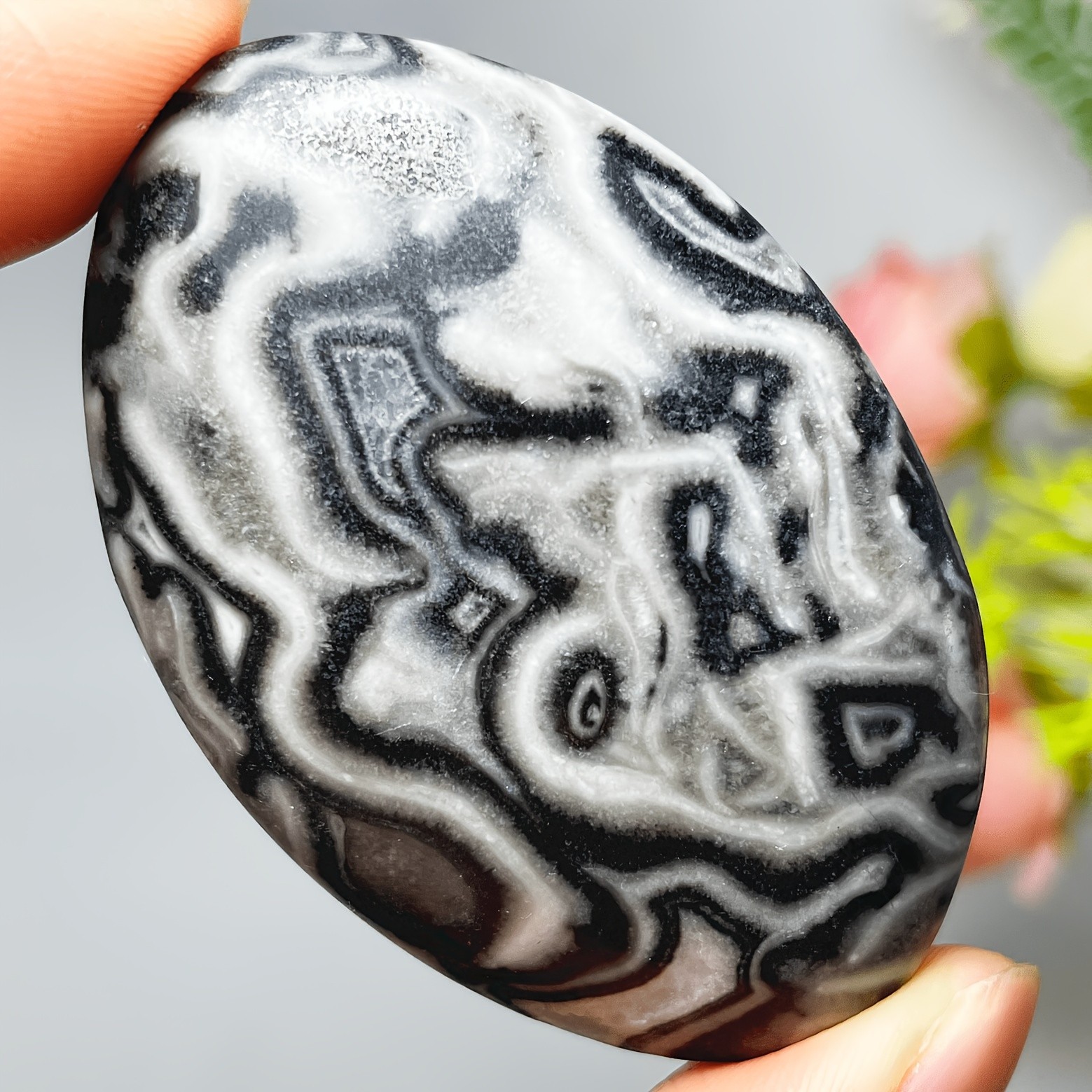 3PC Wholesale Natural Crystal Picasso Jasper Palm Stone Quartz Healing Decor