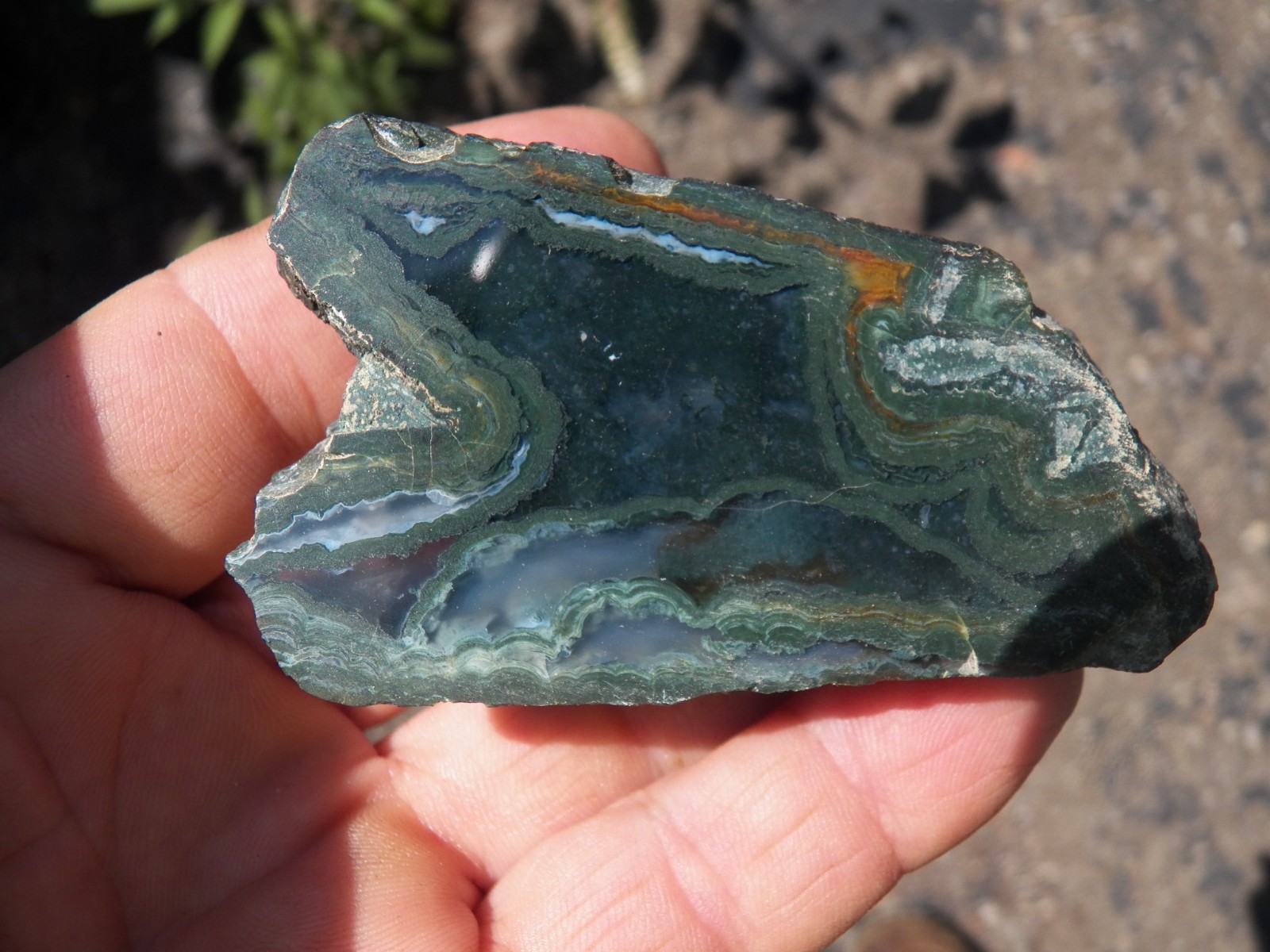 Orphei Bulgaria agate collector specimen mirror polished 5.3 oz
