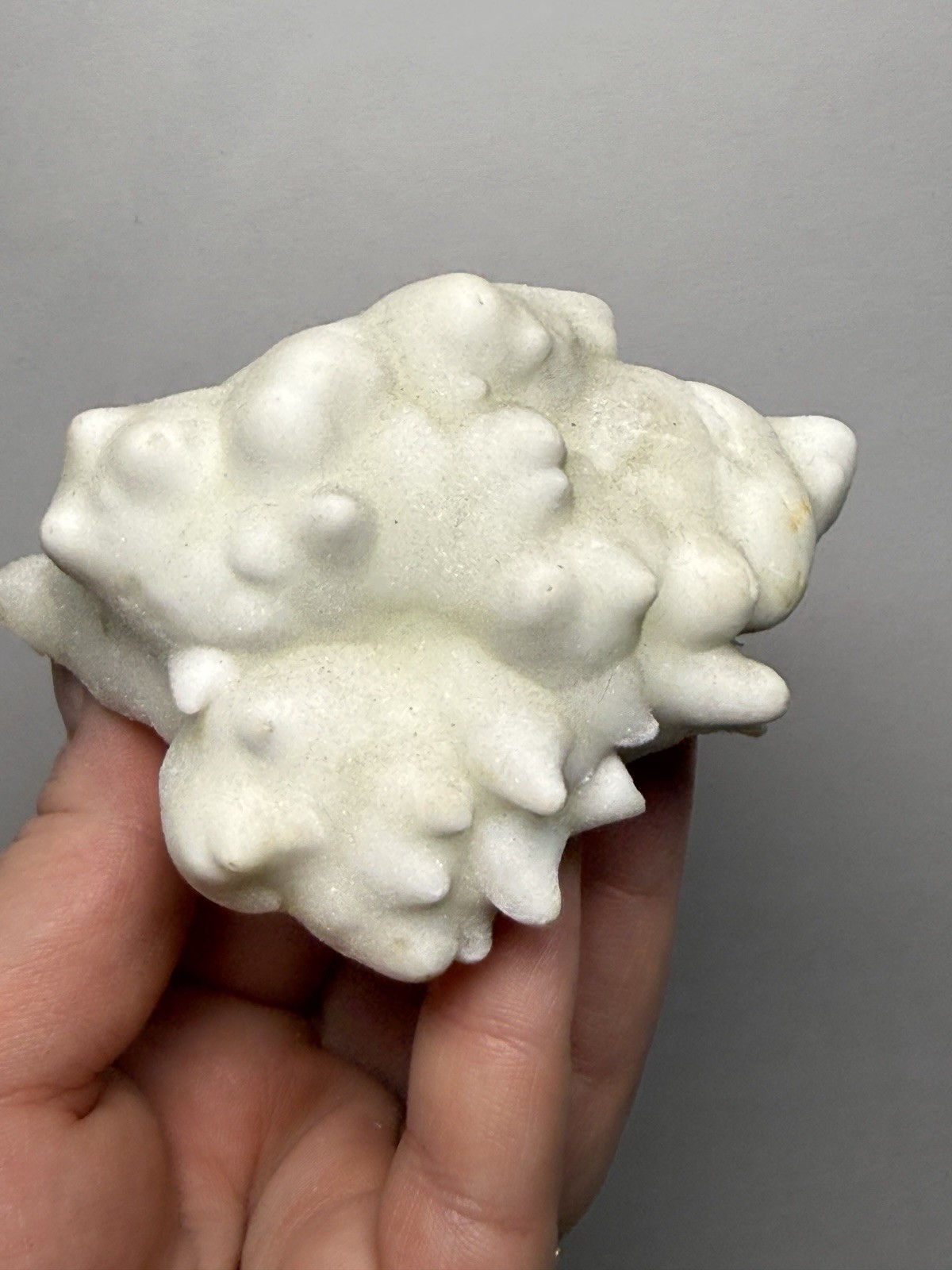 Superb White Flos Ferri Aragonite “Flower of Iron” | Lom Vitošov, Czech Republic