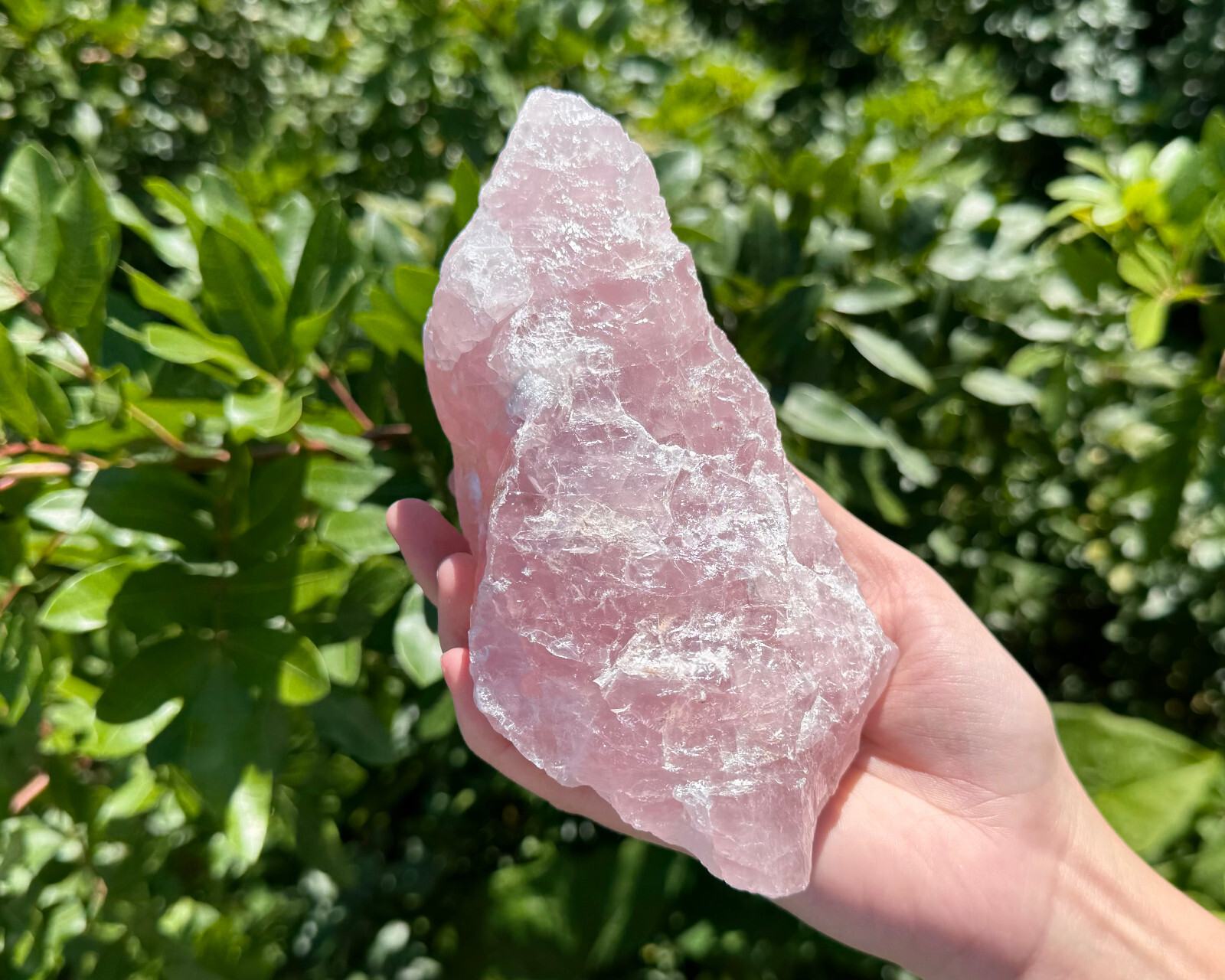 JUMBO Rose Quartz Natural Raw Crystals – Choose Size Huge Chunks (Love Stone)