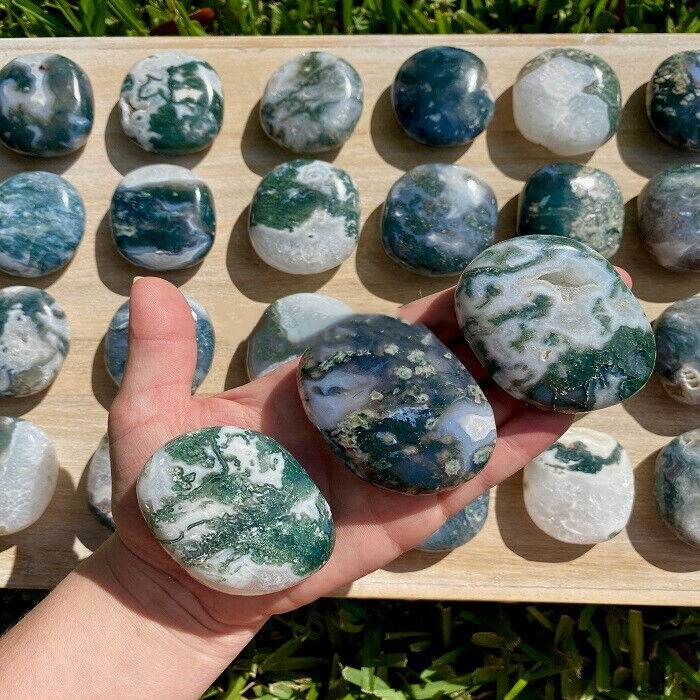 Wholesale Lot 1Lb Natural Moss Agate Palm Stone Quartz Crystal Healing Random