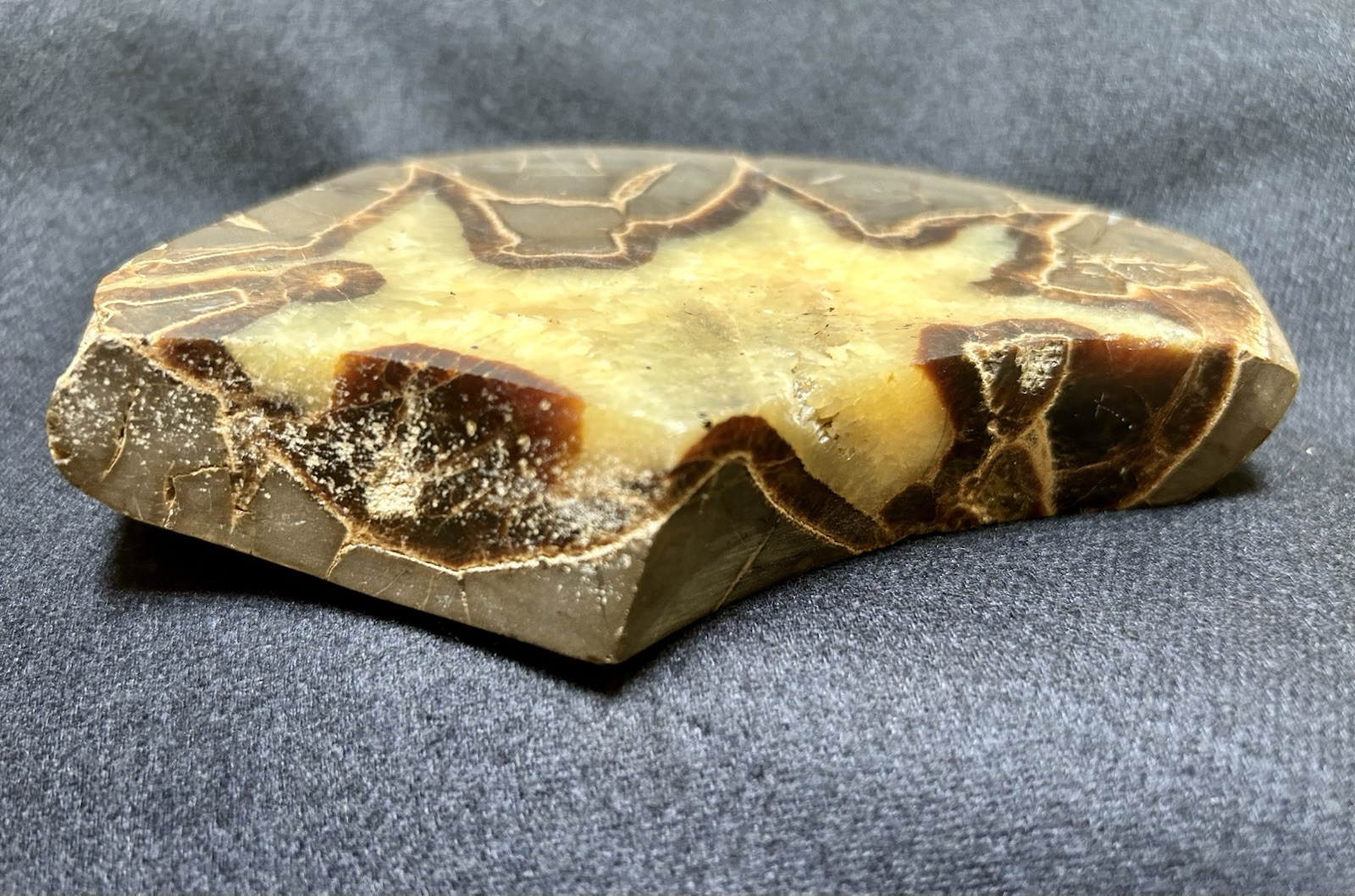 Large Septarian Nodule Utah Specimen Dragon Stone Nice Obvious Calcite Presence