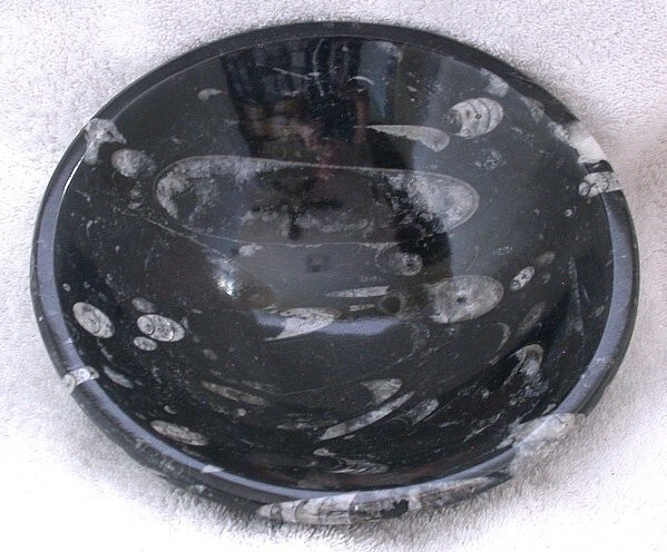 7 7/8 Inch x 2 3/8 Inch Orthoceras Fossil Handcrafted Moroccon Bowl MB4/52225