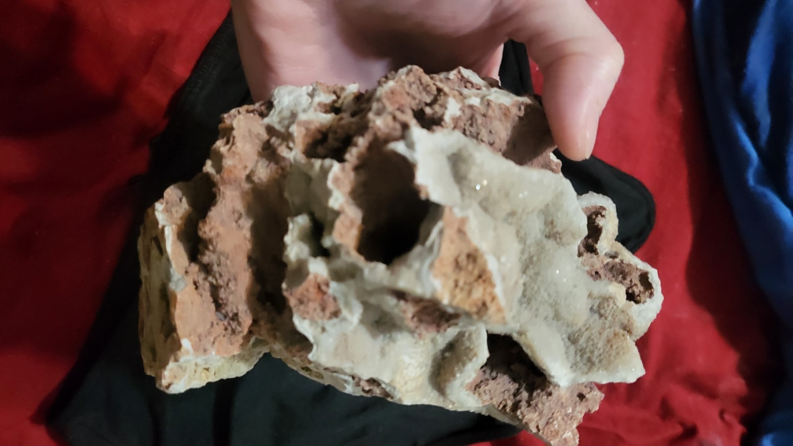 Highly Prized Rock and Mineral Collection