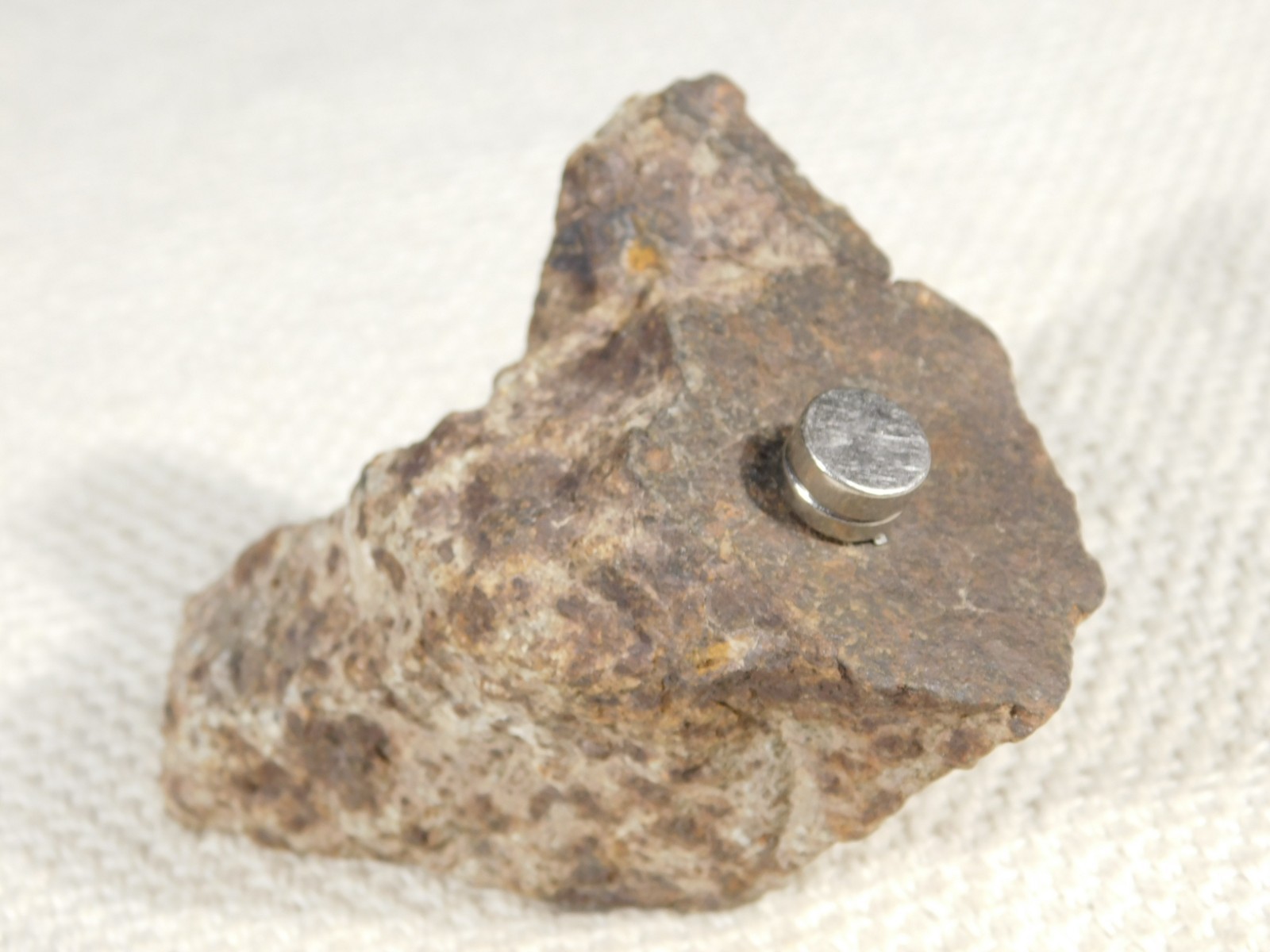 Larger! Classified NWA 8245 METEORITE 100% Natural! Erfoud, Morocco 223gr
