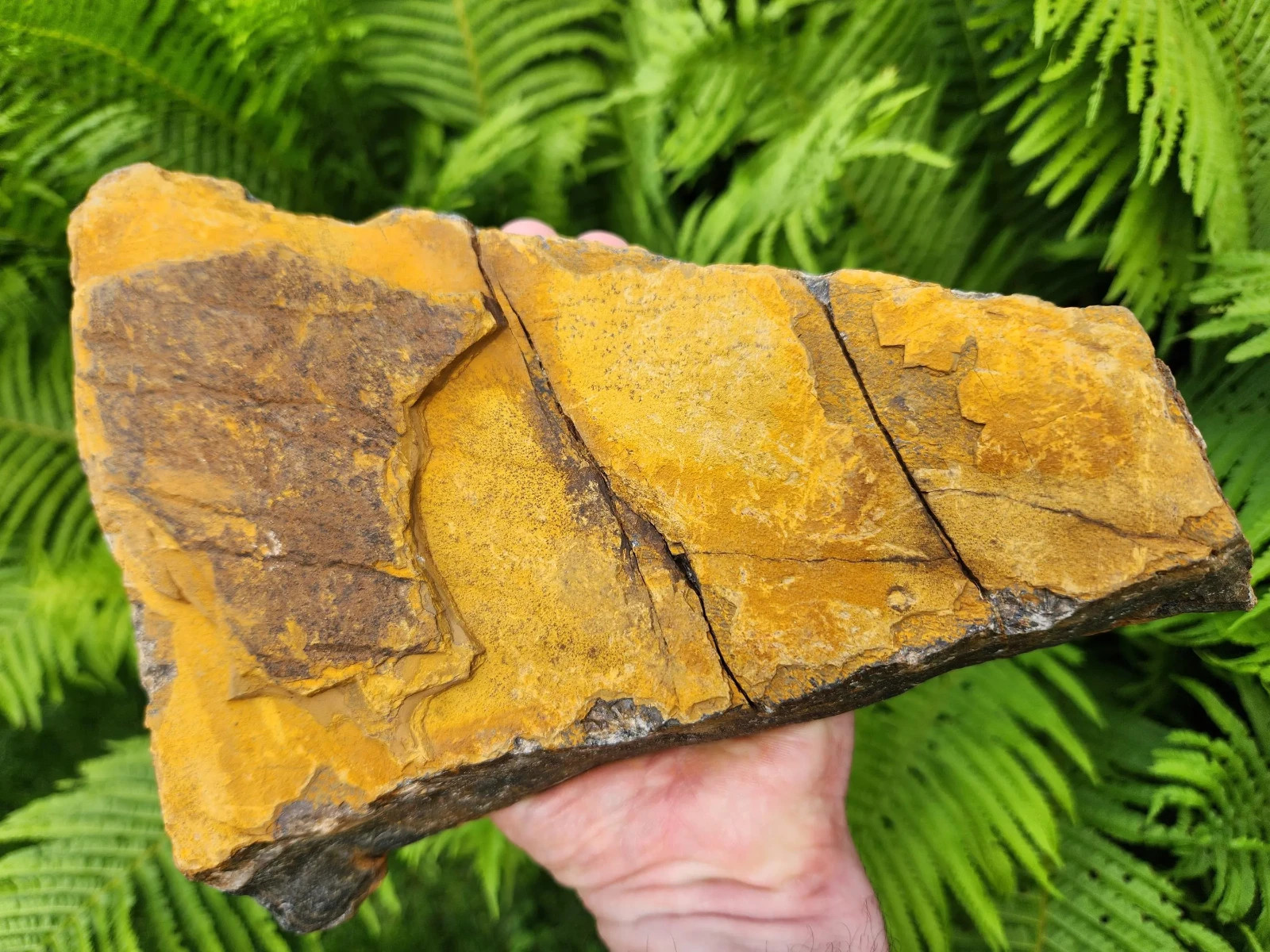 5 lb 11 oz Rough Blue Tiger’s Eye Stone. Ideal for Lapidary. Luminescent