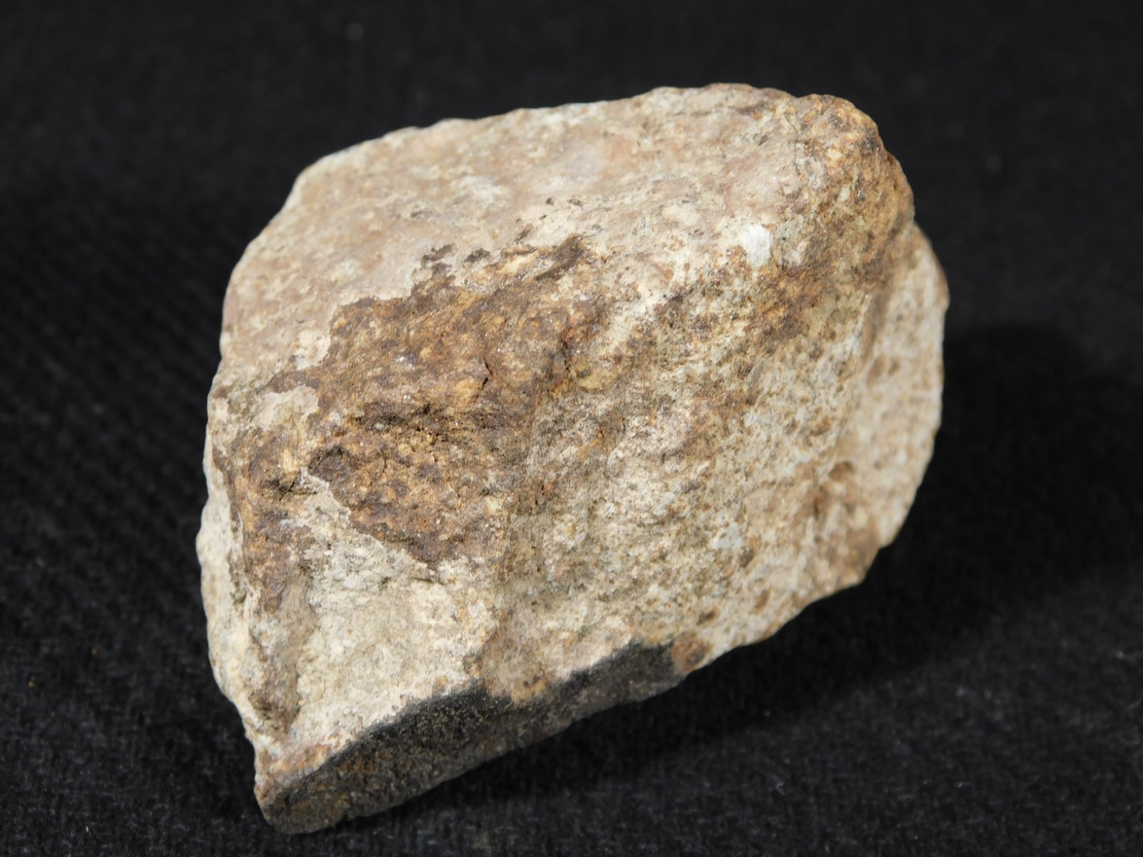 Classified NWA 8245 METEORITE 100% Natural Erfoud, Morocco 147gr