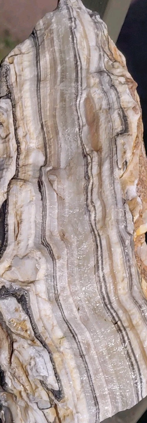 5 1/4Lb Zebra Calcite 9 1/2″×5″×2 1/2″ Display Translucent UV+ Bands A+ Slabber