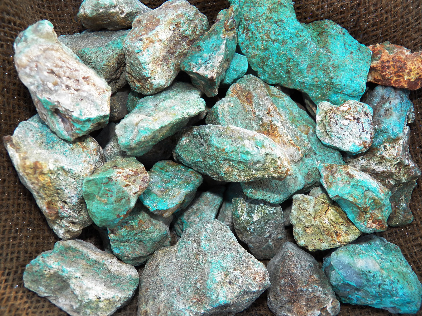 1000 Carat Lots of Natural Turquoise Rough (Not Stabilized) + a Free Gemstone