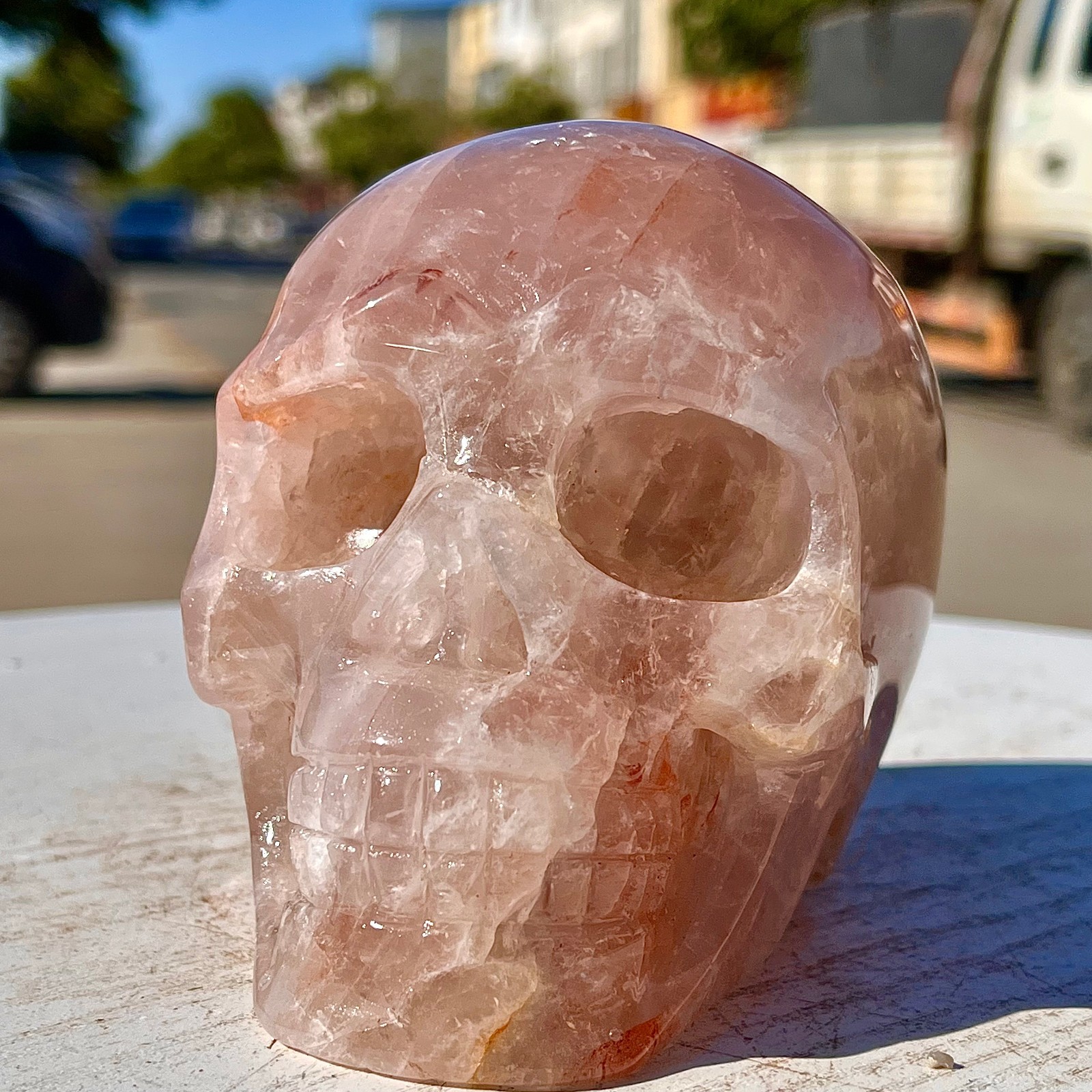 2.71LB Natural dreamy red gum flower skull hand carved skull healing