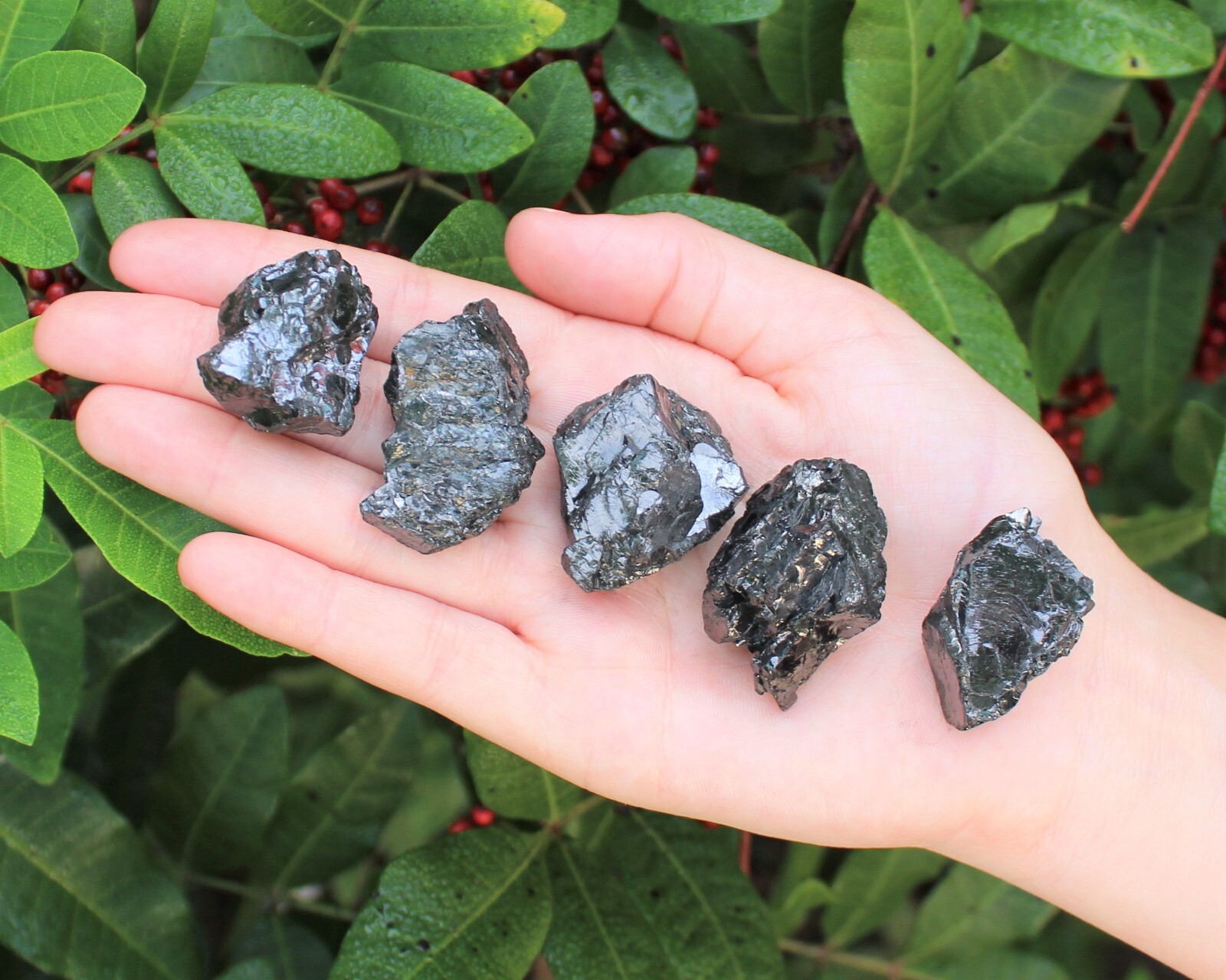 Elite Shungite Wholesale Lots – Natural Noble Shungite Crystals (EMF Protection)