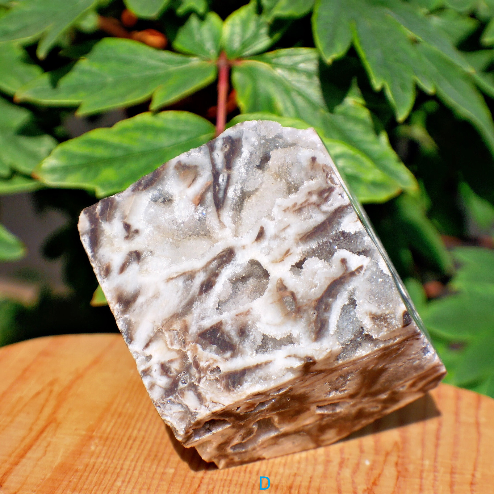 2″ Sphalerite Druzy Geode Cube Crystal Healing Gemstone Natural Mineral Specimen