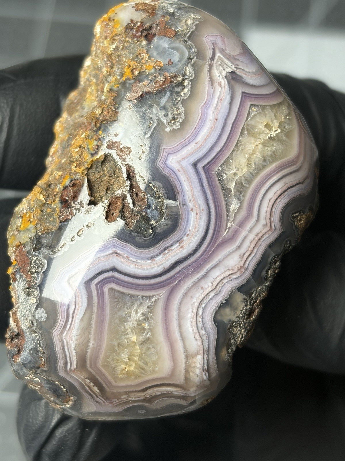 Stunning Purple Picacho Agate Mexico Banding Contour Polished Specimen Laguna