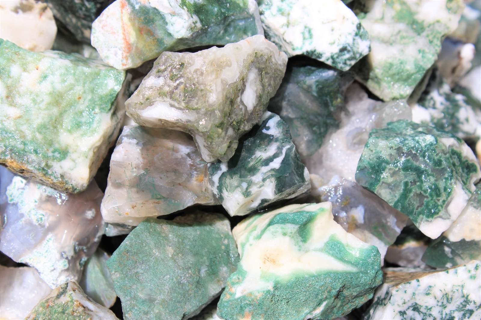 5 lb HUGE Bulk Lot Natural Rough Tree Agate (Raw Crystal Rocks 11000+ Carats)