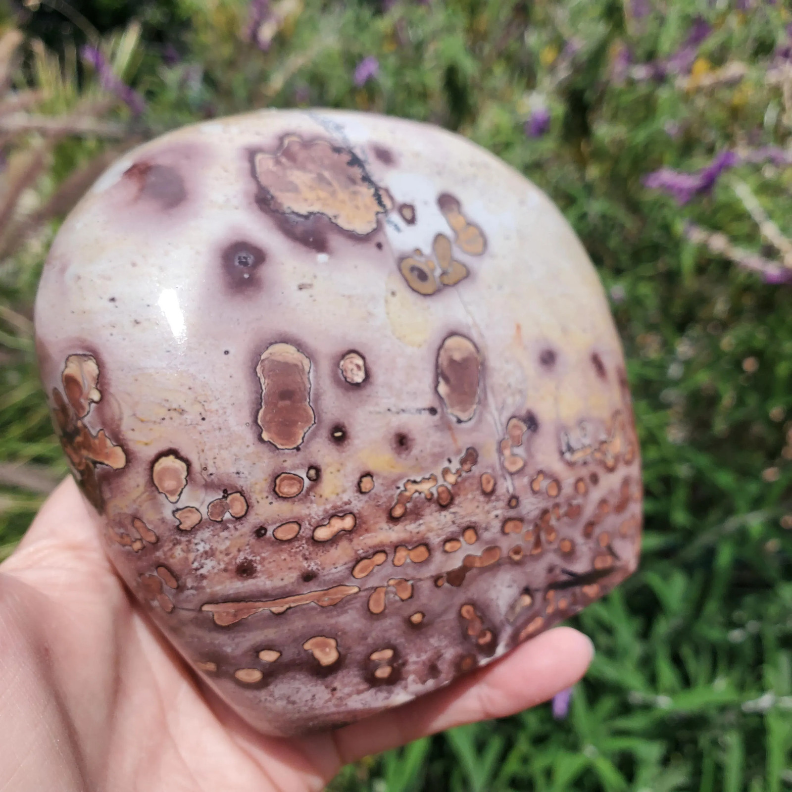 Picture Stone Jasper Dendritic Dendrite Display Freeform | 3lbs 1oz | 1330 Gram