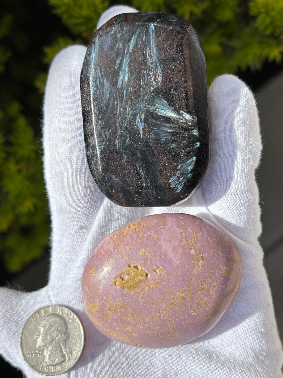 LOT PHOSPHOSIDERITE & ARFVEDSONITE Antho phyllite PALMSTONES PALM STONE FLASH